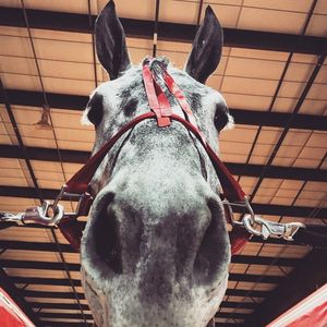 Image post by @nationalwestern on Instagram