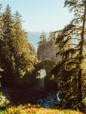 Image post by @jack_turpen on Instagram