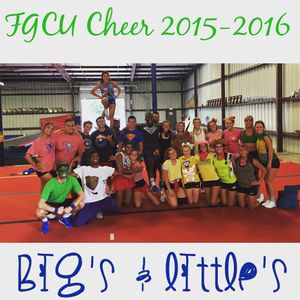 Image post by @fgcu_cheer on Instagram