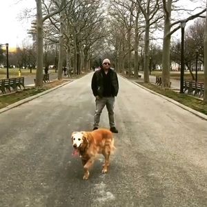 Image post by @ralph_trionfo on Instagram