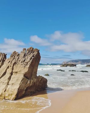Image post by @phillwebster on Instagram