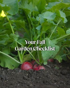 Image post by @burpeegardening on Instagram