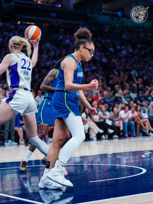 Image post by @minnesotalynx on Instagram