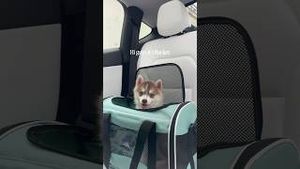 Video post by @gracefkim on YouTube
