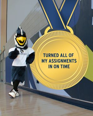 Image post by @usjct on Instagram