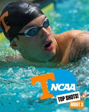 Image post by @vol_swimdive on Instagram