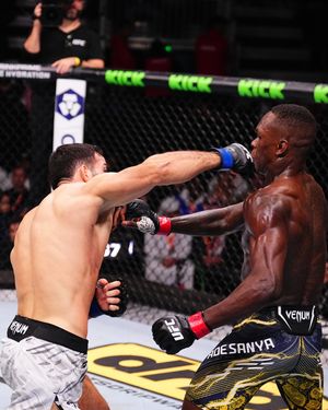 Image post by @ufc_brasil on Instagram