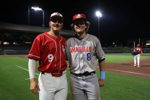 Image post by @MiLB on Twitter