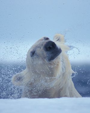 Image post by @sealegacy on Instagram