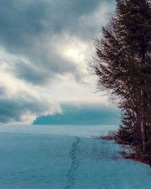 Image post by @cristan.nature.photography on Instagram