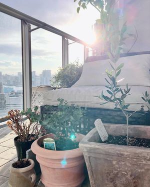 Image post by @hozumiu on Instagram