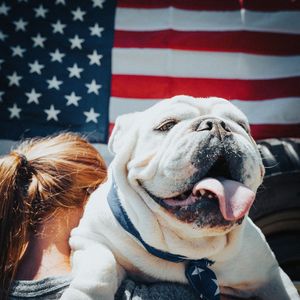 Image post by @triumphpetfood on Instagram