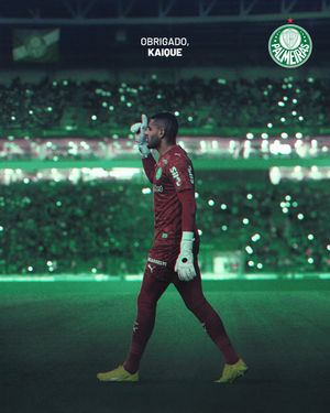 Image post by @palmeiras on Instagram