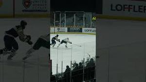 Video post by @flohockey on YouTube