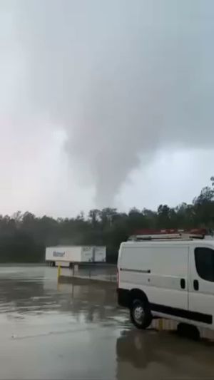 Image post by @fox8nola on Instagram