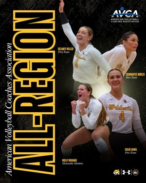 Image post by @wscwildcatvb on Instagram