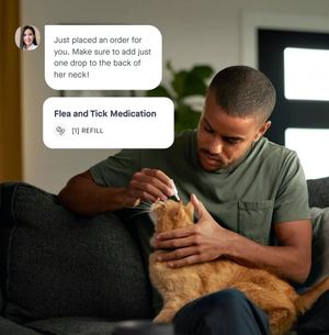 Image post by @yourfuzzy on Instagram