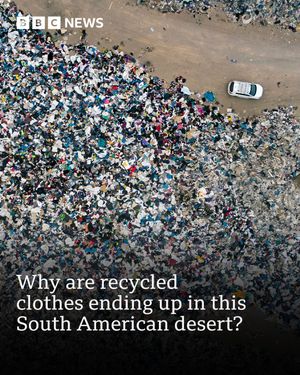 Image post by @bbcnews on Instagram