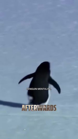 Video post by @mostvaluablepromotions on TikTok
