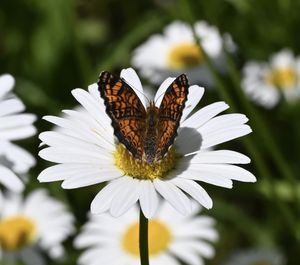 Image post by @nationalparktrust on Instagram