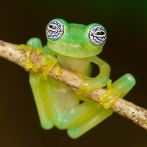 Image post by @discovery on Instagram