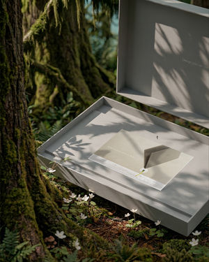 Image post by @asus on Instagram