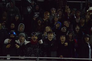 Image post by @laubhan.visuals on Instagram