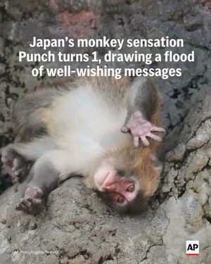Image post by @apnews on Instagram