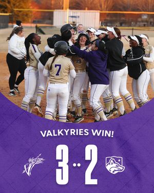 Image post by @valkyriessoftball on Instagram