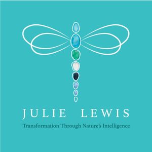 Image post by @juliemileslewis on Instagram