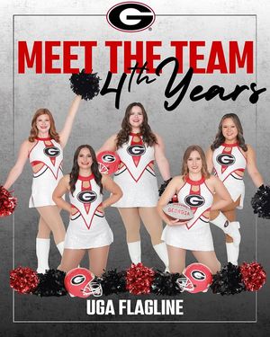 Image post by @ugaflagline on Instagram