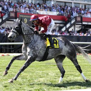 Image post by @thoroughbred_daily_news on Instagram