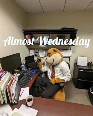 Image post by @goldythegopher on Instagram