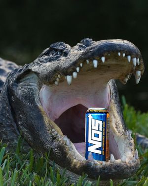 Image post by @nosenergydrink on Instagram