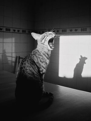 Image post by @fubiz on Instagram
