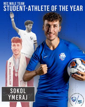 Image post by @SFBKTerriers on Twitter