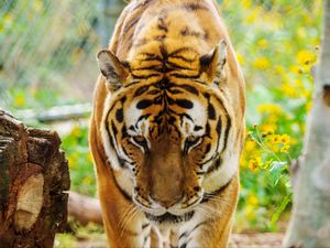 Image post by @denverzoo on Instagram