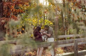 Image post by @sydneybphotography on Instagram