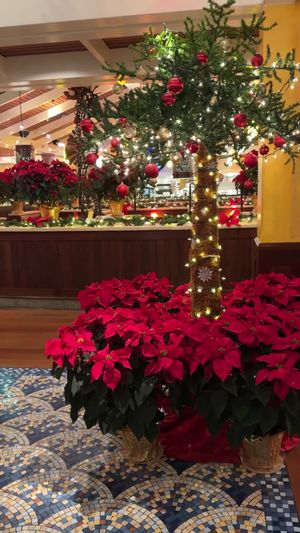 Video post by @greatamericanrest on TikTok