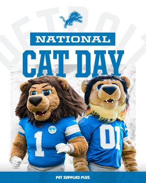 Image post by @Lions on Twitter