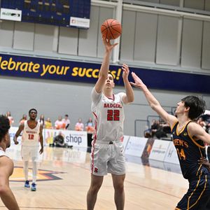 Image post by @brockbadgers on Instagram