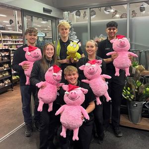 Image post by @official_percypig on Instagram