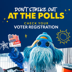 Image post by @RaysBaseball on Twitter