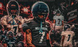 Image post by @hbcugameday on Instagram