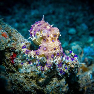 Image post by @discovery on Instagram