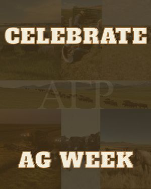 Image post by @agr_msu_ on Instagram