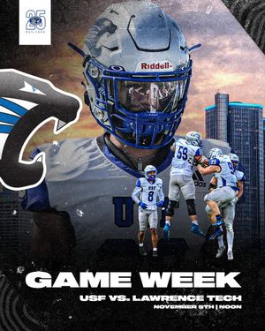 Image post by @usf_fb on Instagram