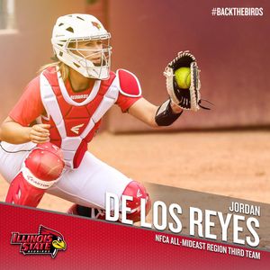 Image post by @RedbirdsSB on Twitter
