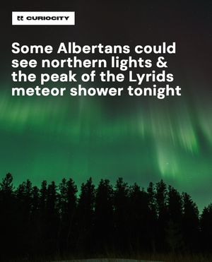 Image post by @curiocitycalgary on Instagram