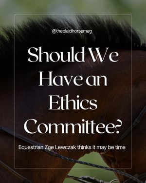 Image post by @theplaidhorsemag on Instagram